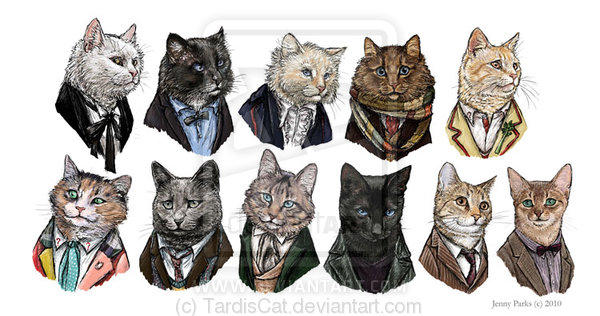 Doctor Mew by Jenny Parks