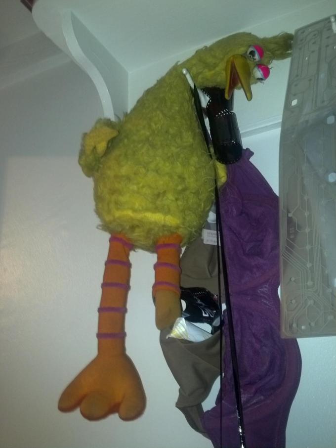 Save Big Bird
