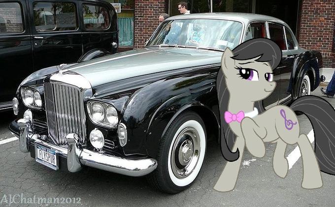 Octavia and the Bentley S2 Flying Spur