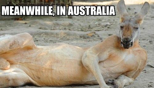 Relax Mate