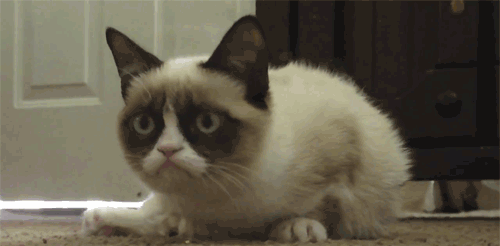 3c0.gif
