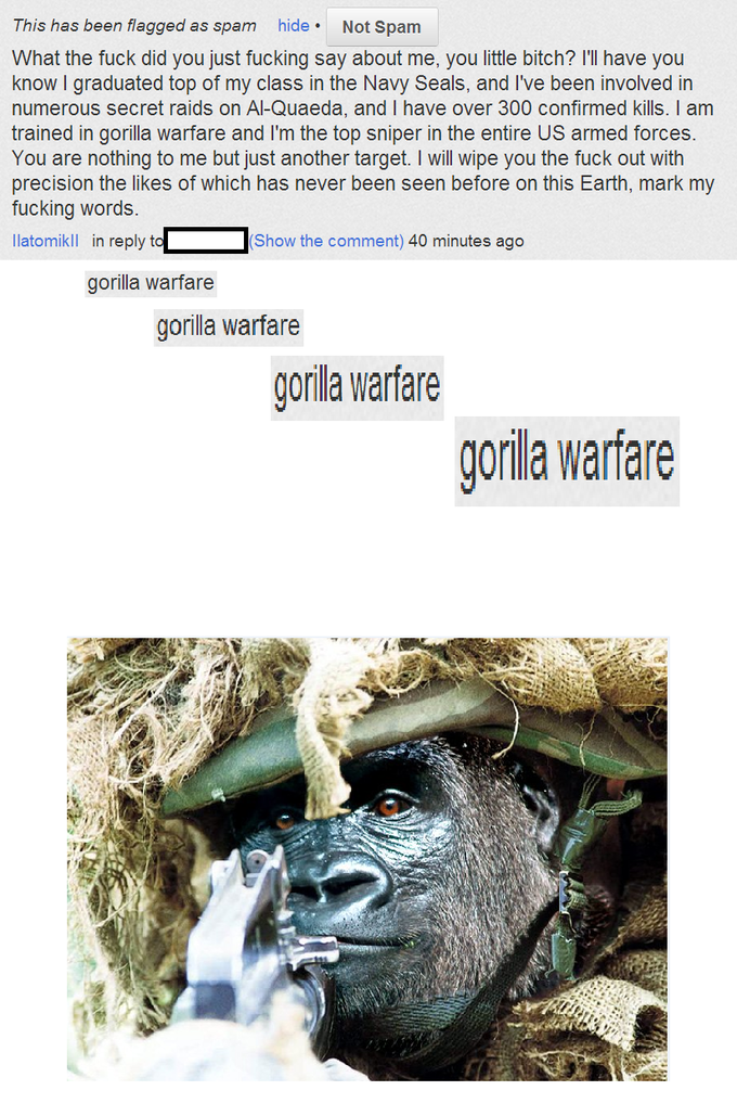 d01.png