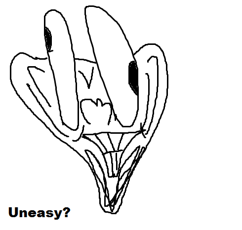45b.png