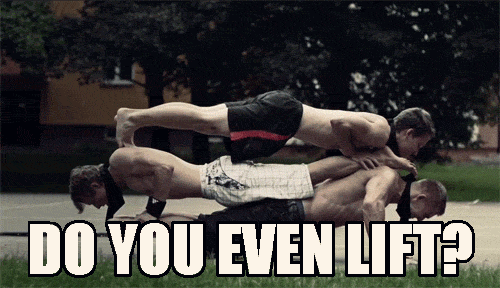 [Image: 116.gif]