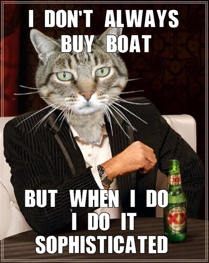 The Most Interesting Cat in the World