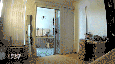 8fb.gif