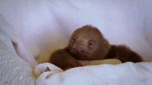 70b.gif