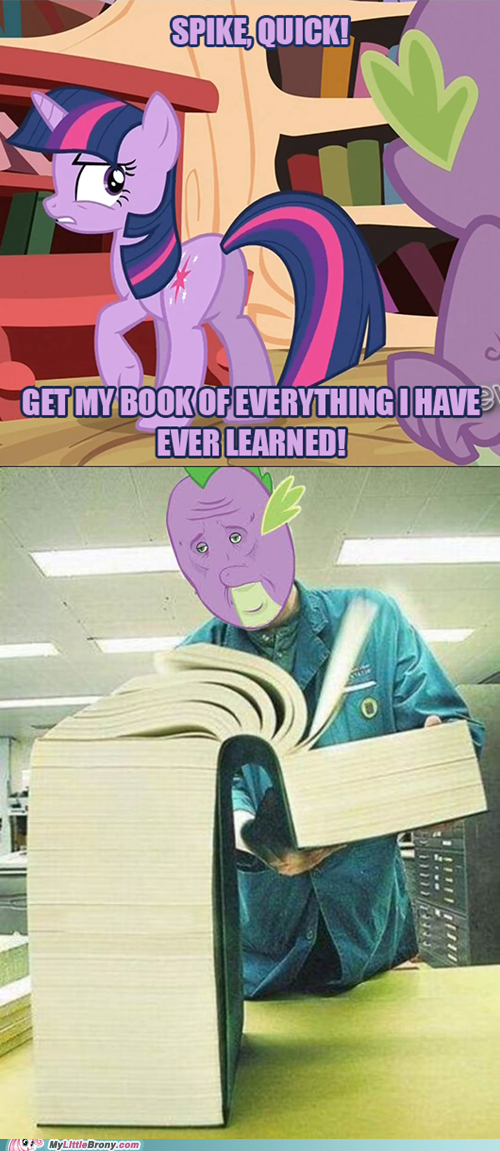 278.png