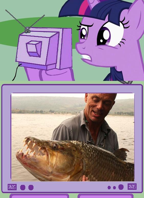 Twilight watches River Monsters