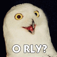 Facial expressions, O RLY?