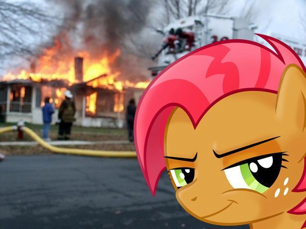 Disaster Babs Seed