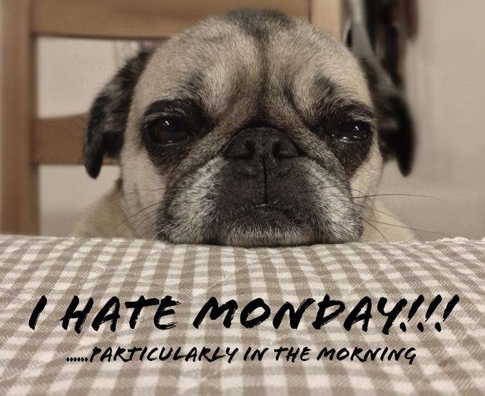I hate monday