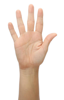 880.jpg
