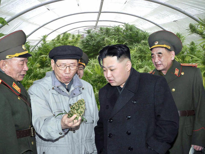 kim jong-un looking at things