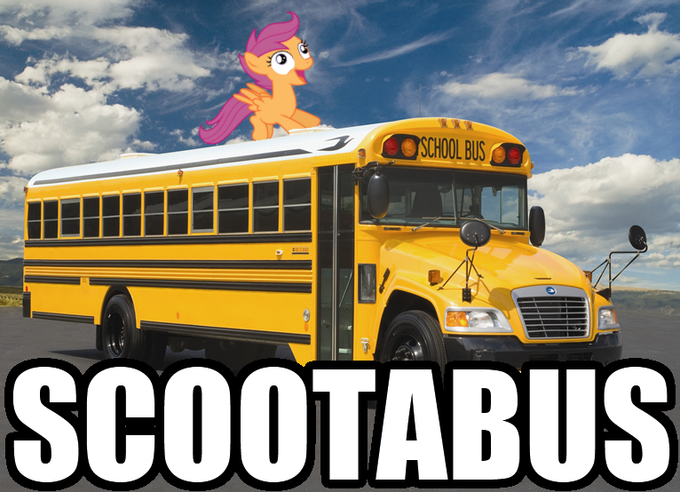 d4b.png
