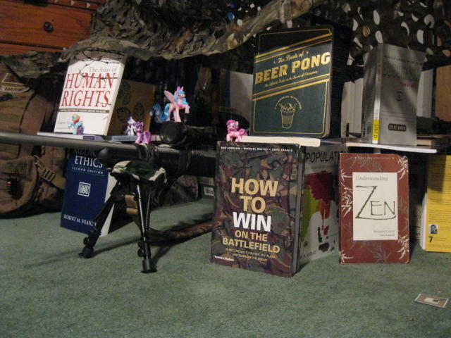 BookFort2
