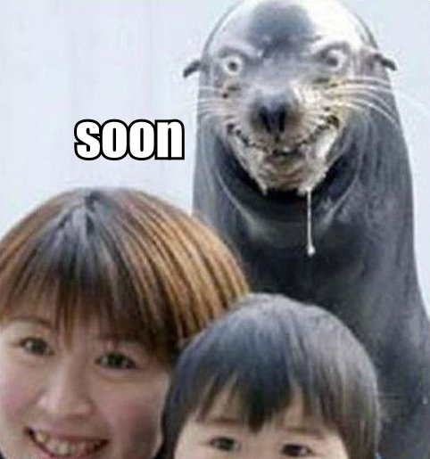 soon seal soon soon know your meme 4ef soon seal soon soon know your meme,Seal Meme