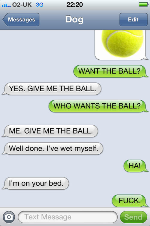 d8c.jpg