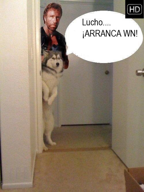 31a.jpg