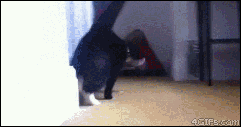 GIF's are even better in reverse