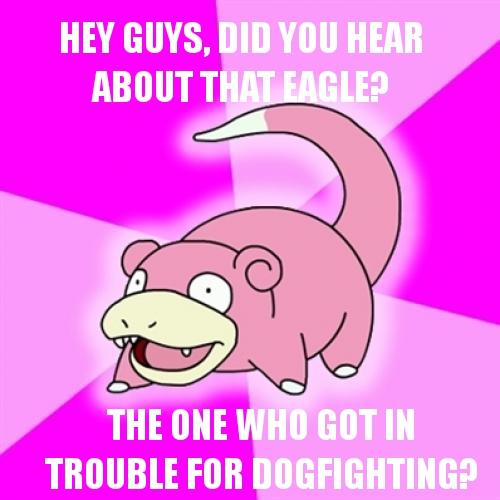 33d.jpg