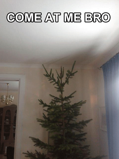 COME AT ME BRO, CHRISTMAS TREE