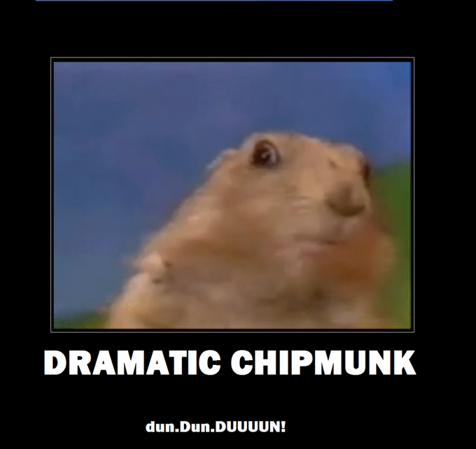 dramatic chipmunk