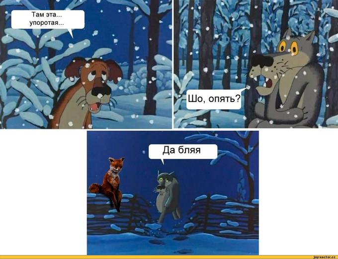 537.jpeg