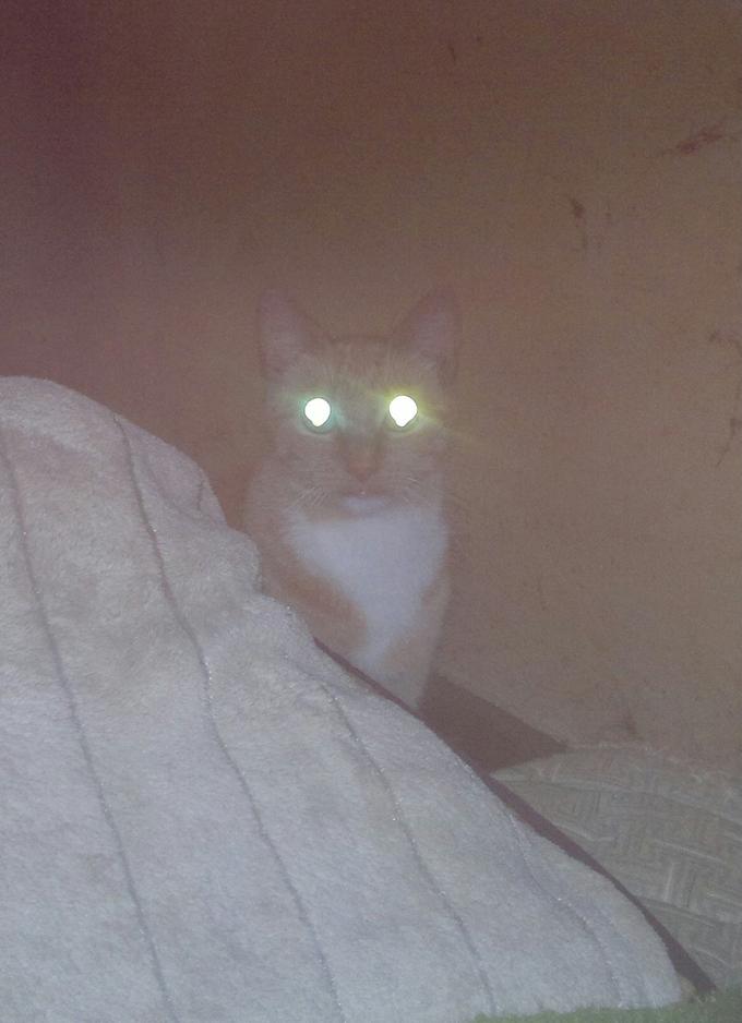 Pebbles, 2012.