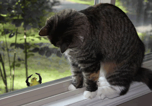 7b8.gif
