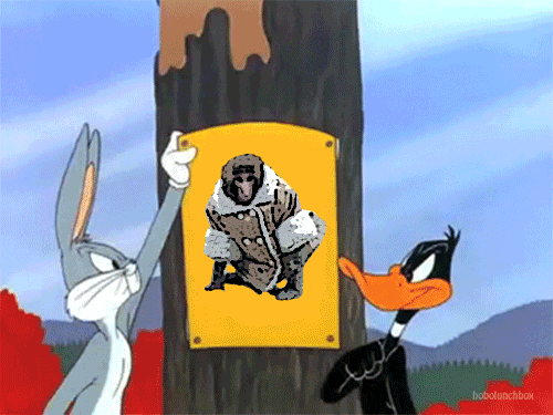 Meme Season