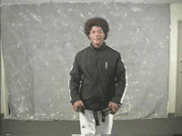 d95.gif
