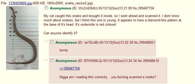 4chan in a nutshell.