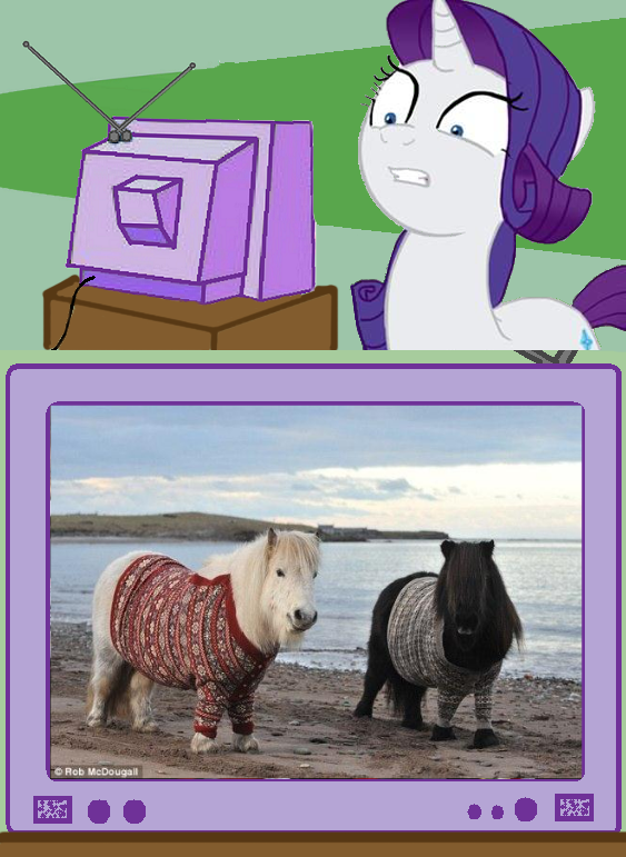 929.png