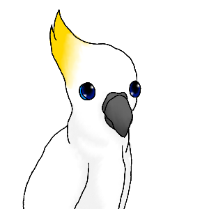 a49.png