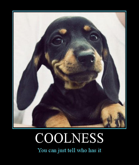 coolness