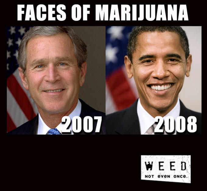 faces of marijuana