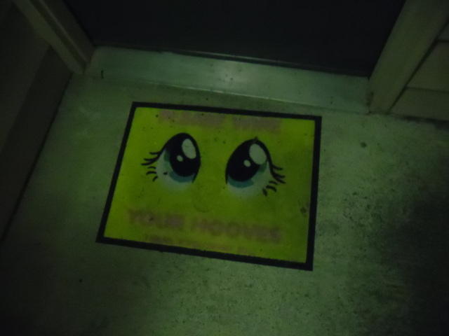 Dat three hundred dollar doormat