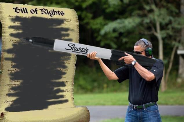 685.jpg