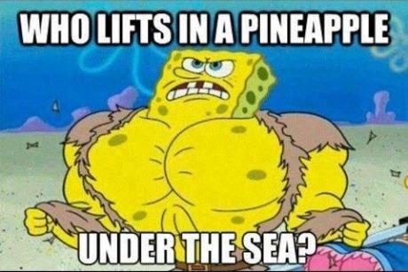 MuscleBob Buffpants