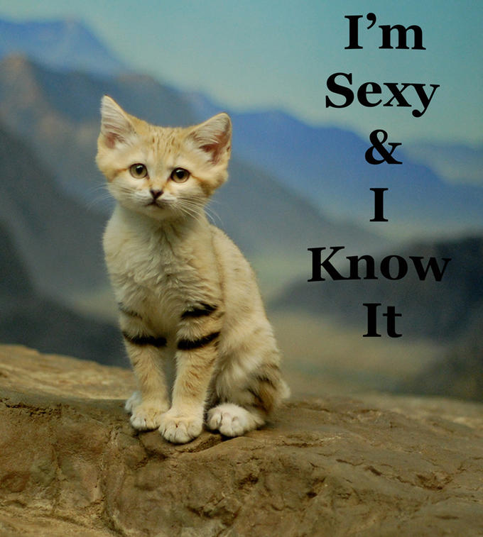 Too Cute!!!
