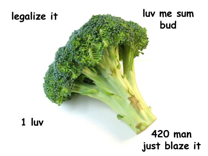 1d0.jpg