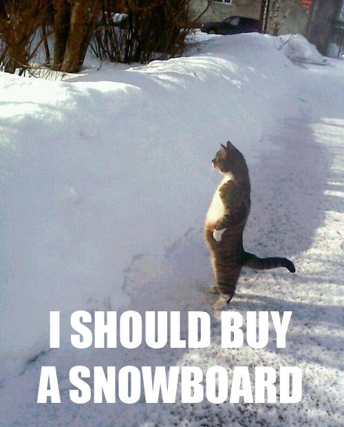 What Can I Buy To Keep Cats Off My Car What Can I Buy To Keep Cats Off My Car