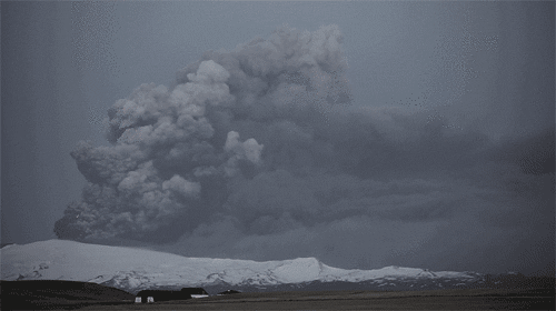 8c9.gif
