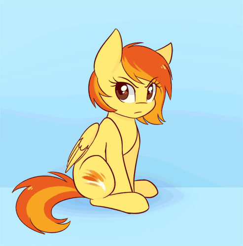 258.gif