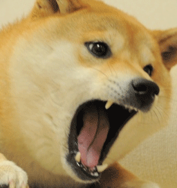480.gif