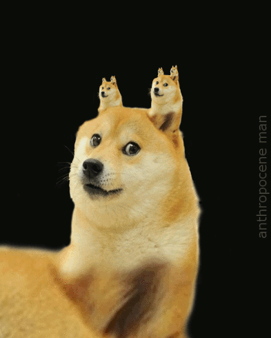 b1f.gif
