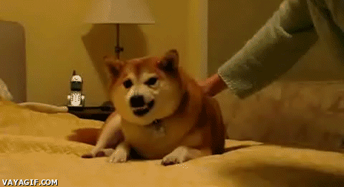 7de.gif