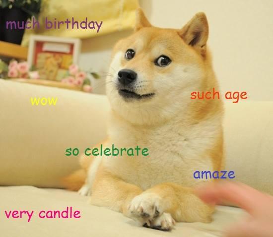 Birthday Doge Doge Know Your Meme