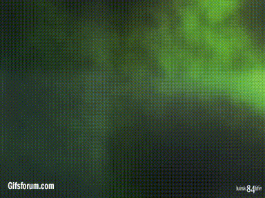 23d.gif